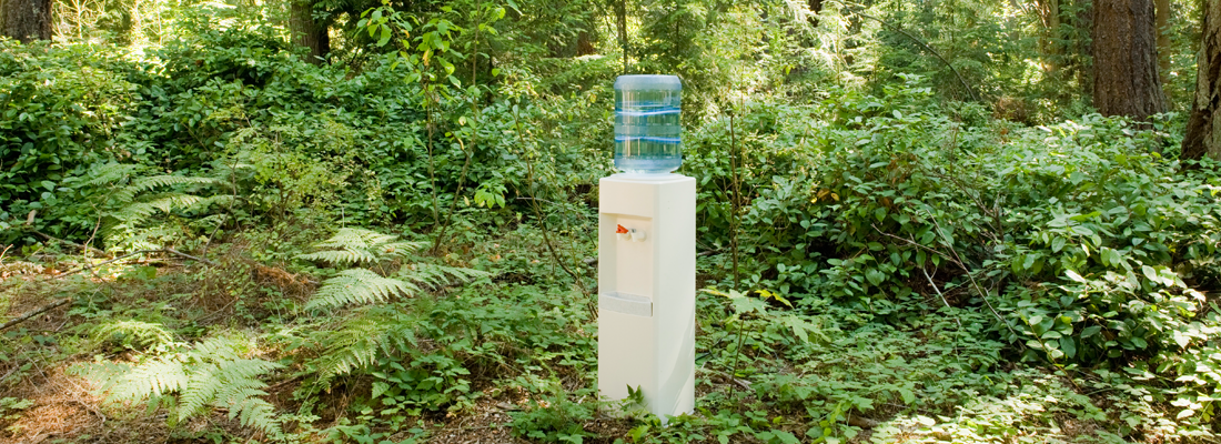 Un distributore d'acqua in mezzo a una foresta